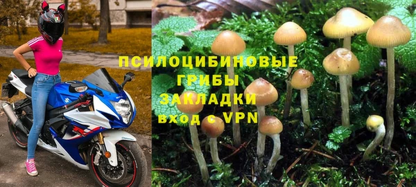 ПСИЛОЦИБИНОВЫЕ ГРИБЫ Беломорск